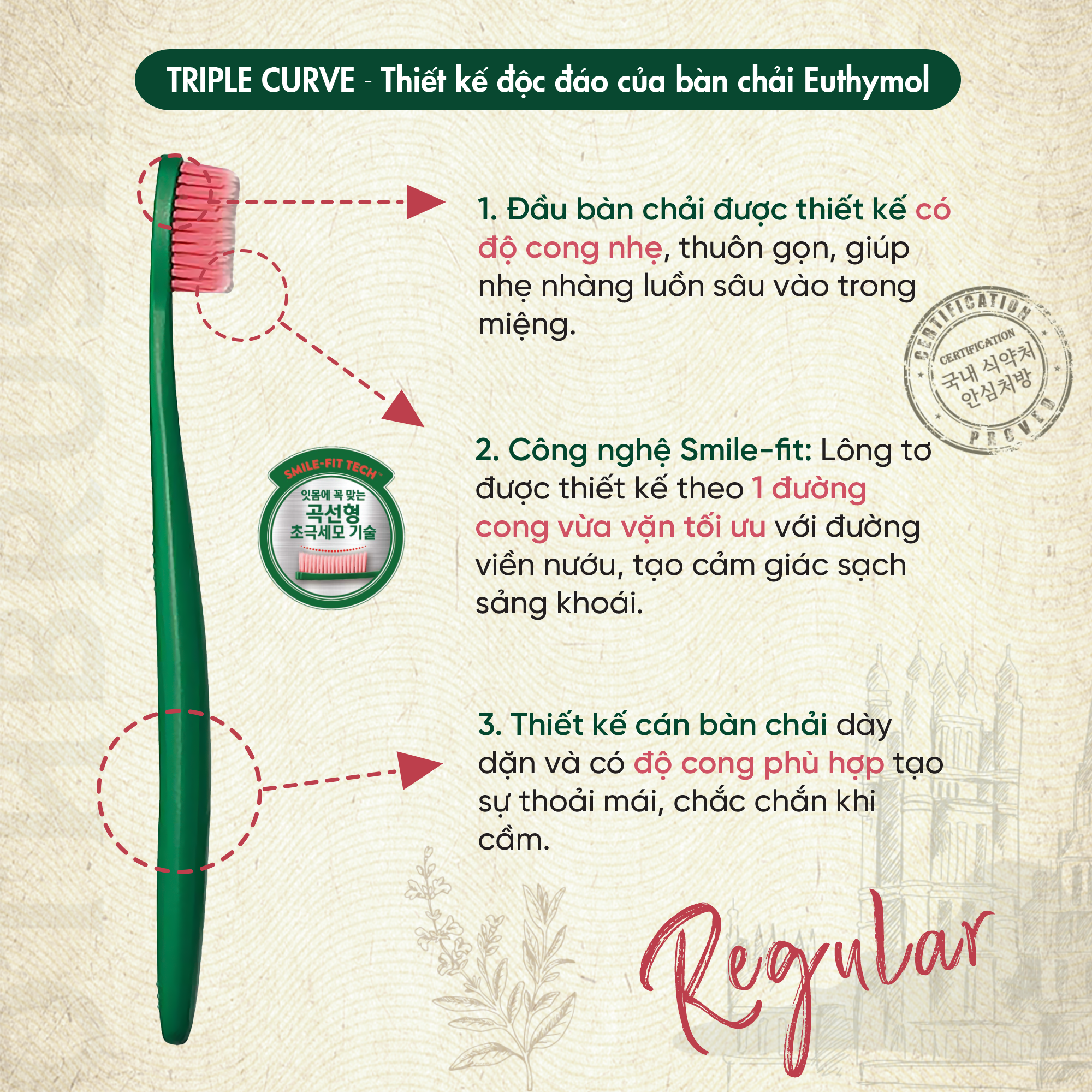 Bàn chải răng Euthymol Original Toothbrush Regular